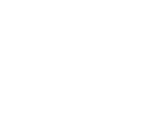 F3 Icon - White